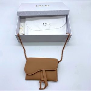 Dior Rose Des Vents Ultramatte Nano Pouch Saddle Bag Calfskin